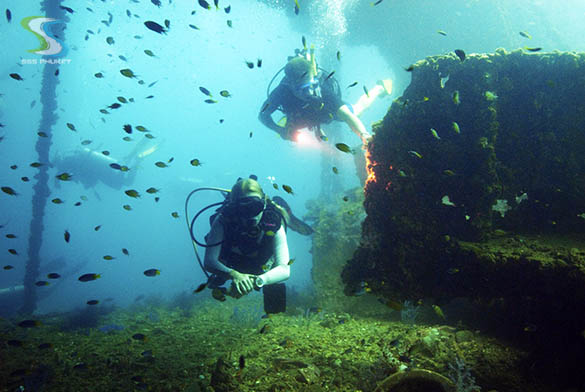 King Cruiser Diving