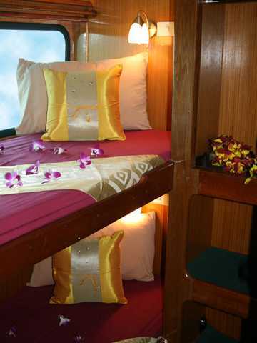 Andaman Tritan Cabine Standard