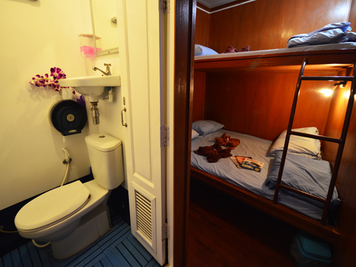 Manta Queen 3 Liveaboard twin double ensuit