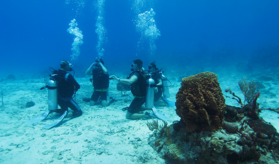 scuba diving in phuket