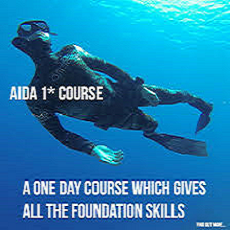 AIDA Courses 1 star modified