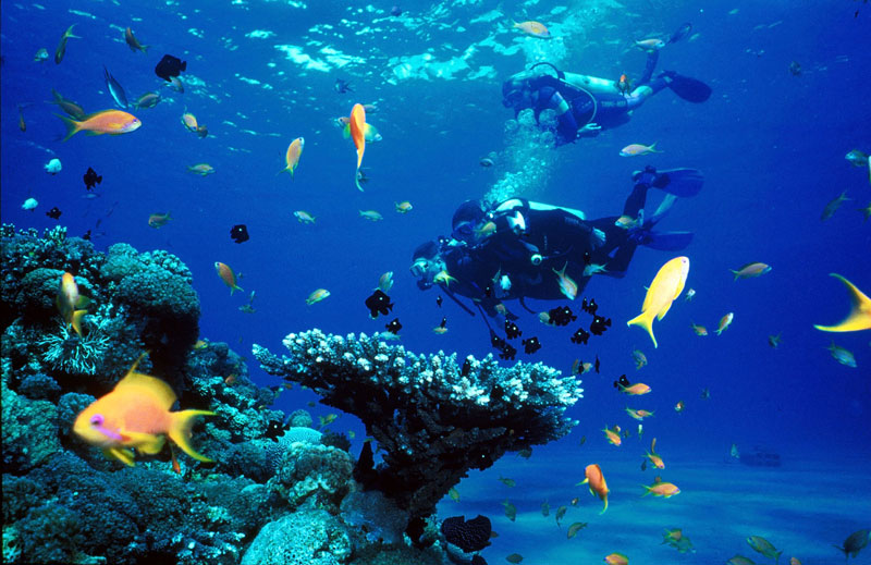 Activités à faire à Phuket plongée sous-marine