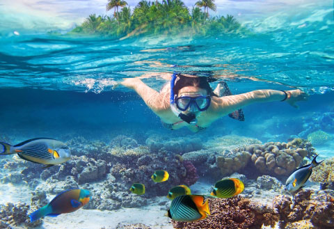 SSS Activités Phuket plongée