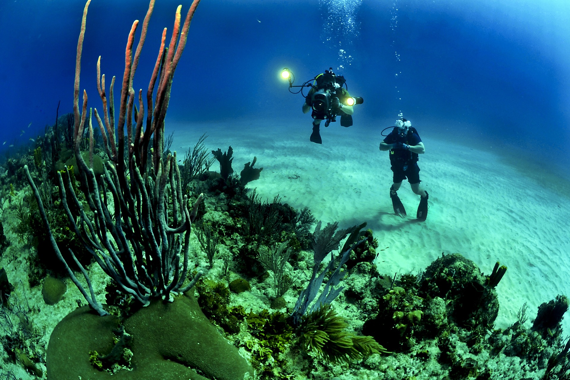Phuket scuba diving 2 weeks package