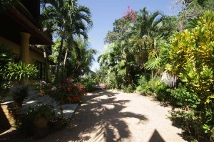 Phuket Surf Camp accommodation courtyard