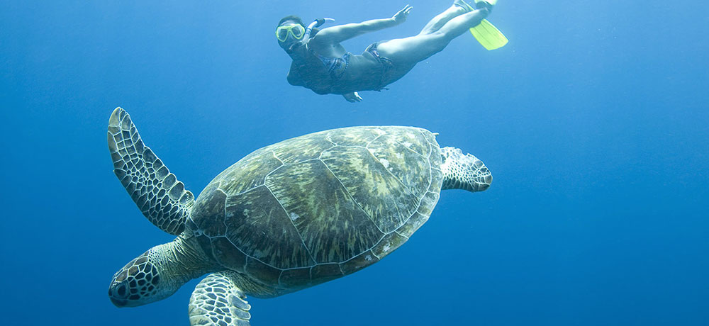 SSS Activités Phuket snorkeling