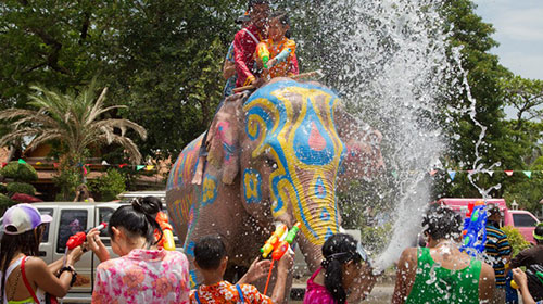 songkran festival elephant