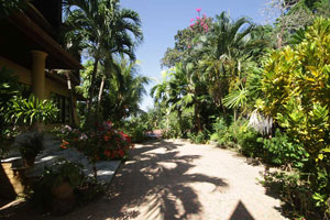Phuket Surf Camp
