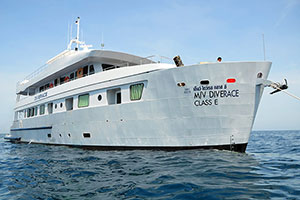 Diverace Similan