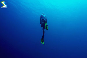 free diving in Phuket 3