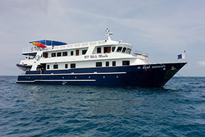 Croisière White Manta