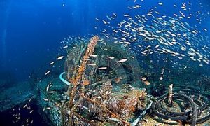 phuket scuba diving king-cruiser