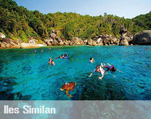 iles-similan