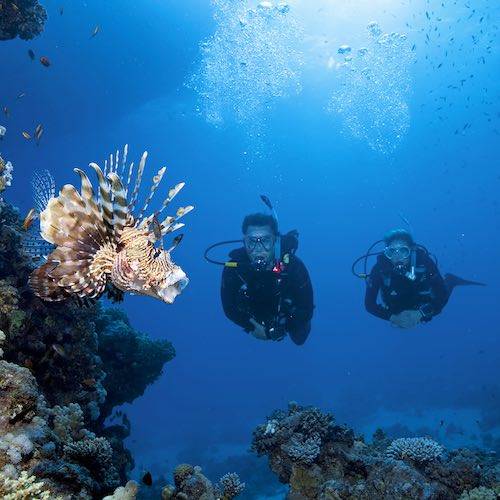 Phuket best dive center scuba diving phuket sssphuket