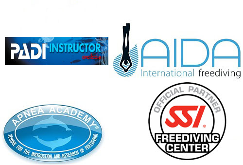 freediving partners phuket