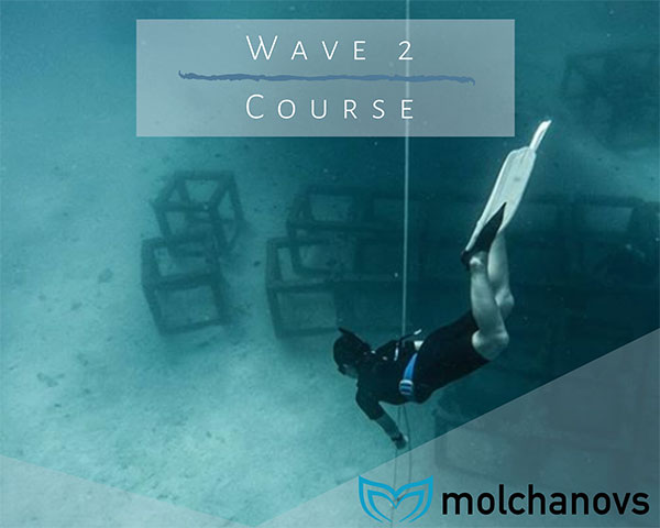 Molchanovs-Wave-2-Phuket.jpg