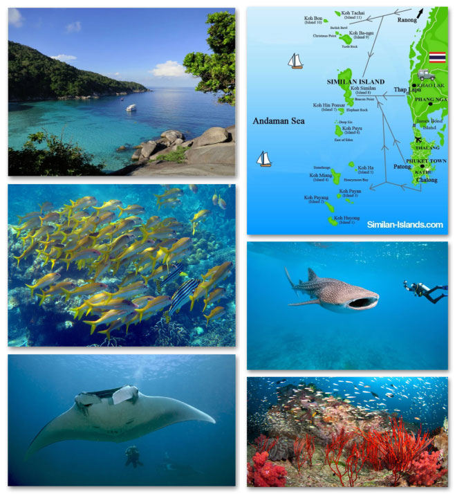 Snorkeling îles Similan