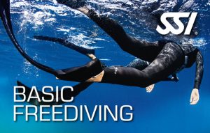 SSI Basic Freediver Phuket Logo