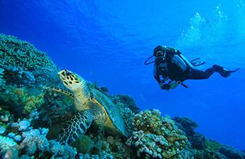 Phuket best dive center phuket open water 