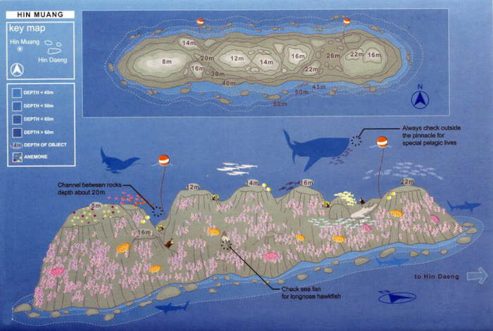 Hin-Muang-Diving-dive-map