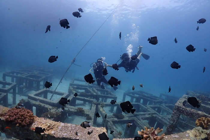 Racha Yai coral reef Phuket