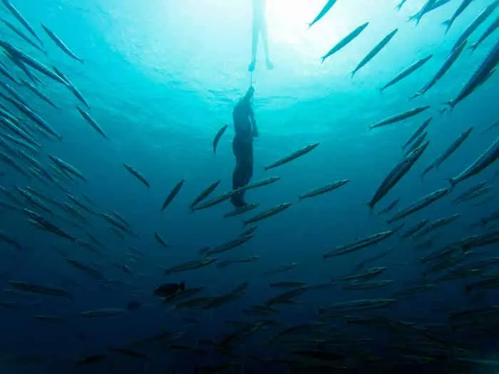 Freediving boat day at Racha Yai, Phuket
