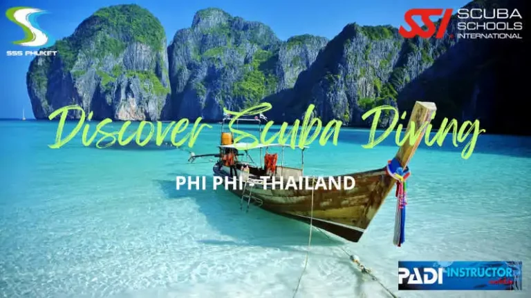 Diving at Koh Phi Phi, Phuket