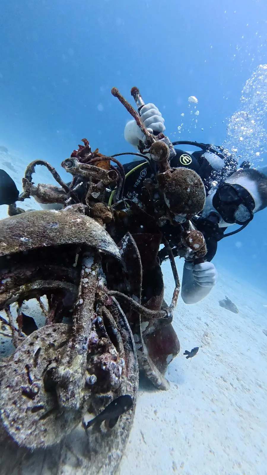 Bicycle wreck dive feature at Racha Noi, Phuket