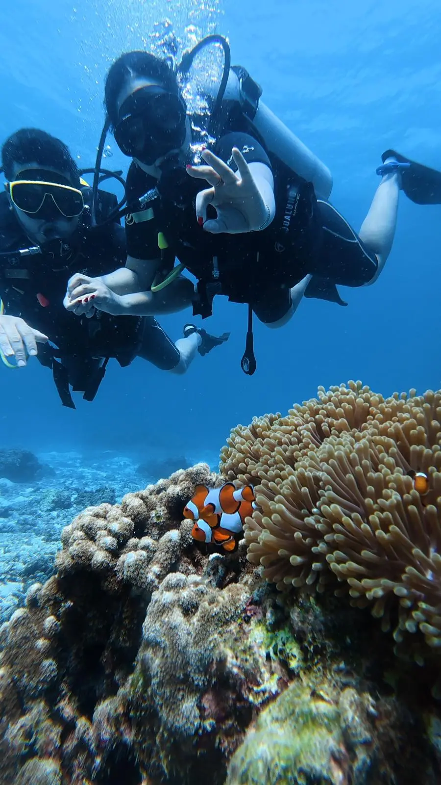 Clownfish sighting during Discover Scuba Diving at Racha Noi
