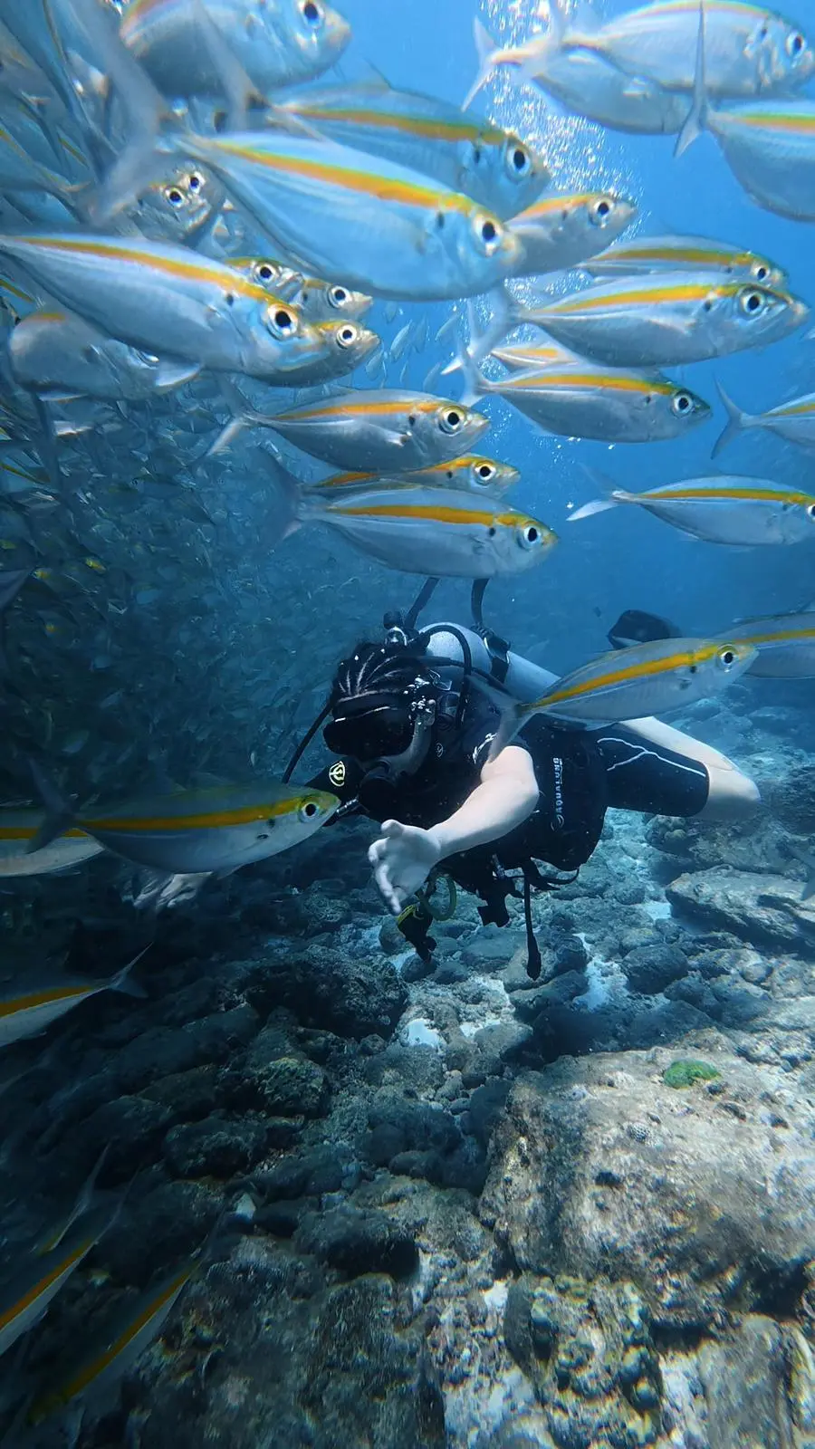 Reef fish school at Racha Noi dive site, Phuket