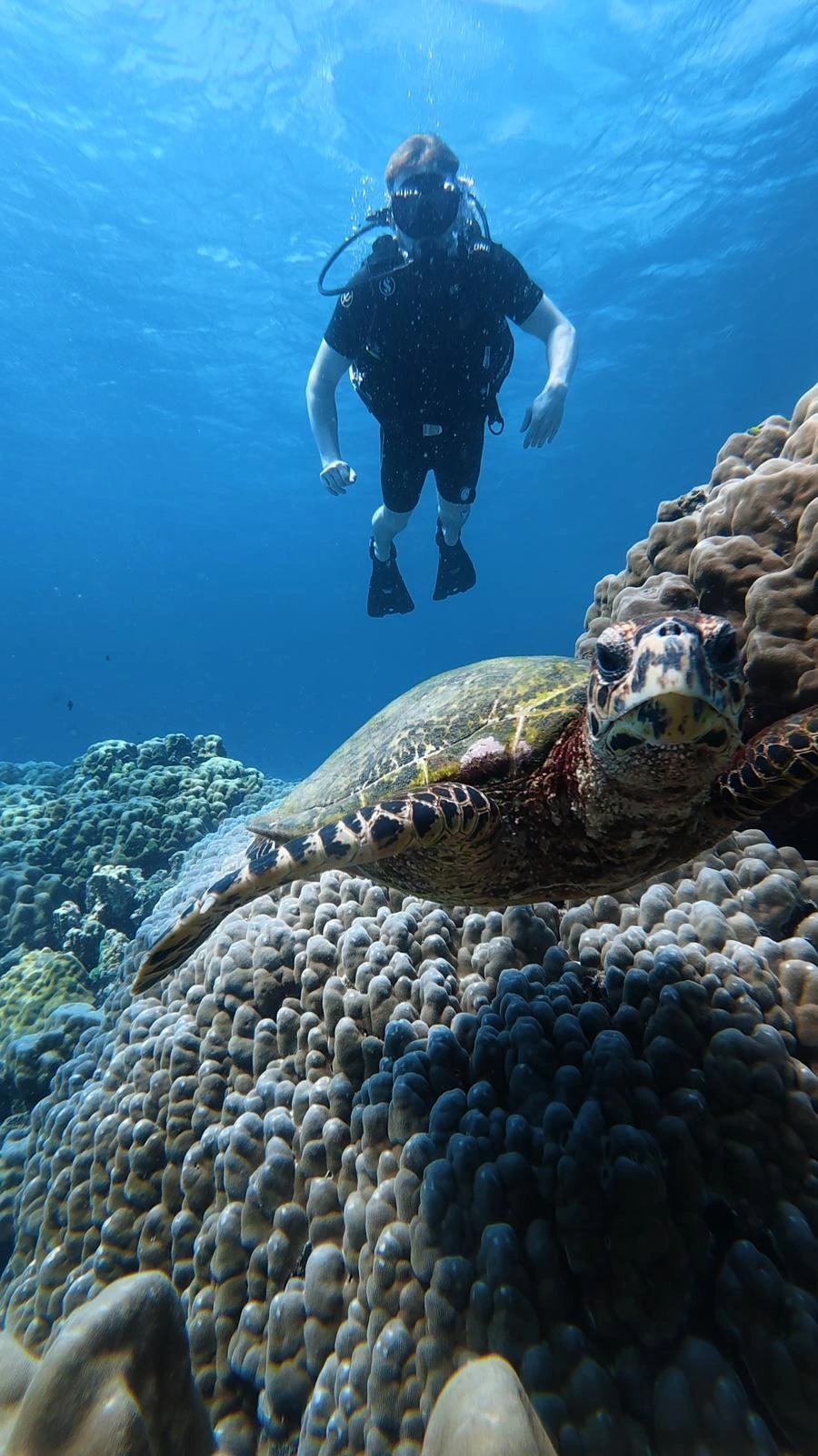 First-time diver swimming alongside a sea turtle at Racha Noi, Phuket