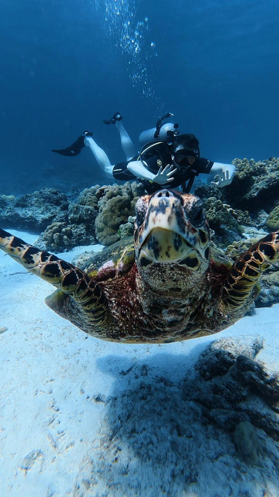 First-time diver encountering a sea turtle at Racha Noi