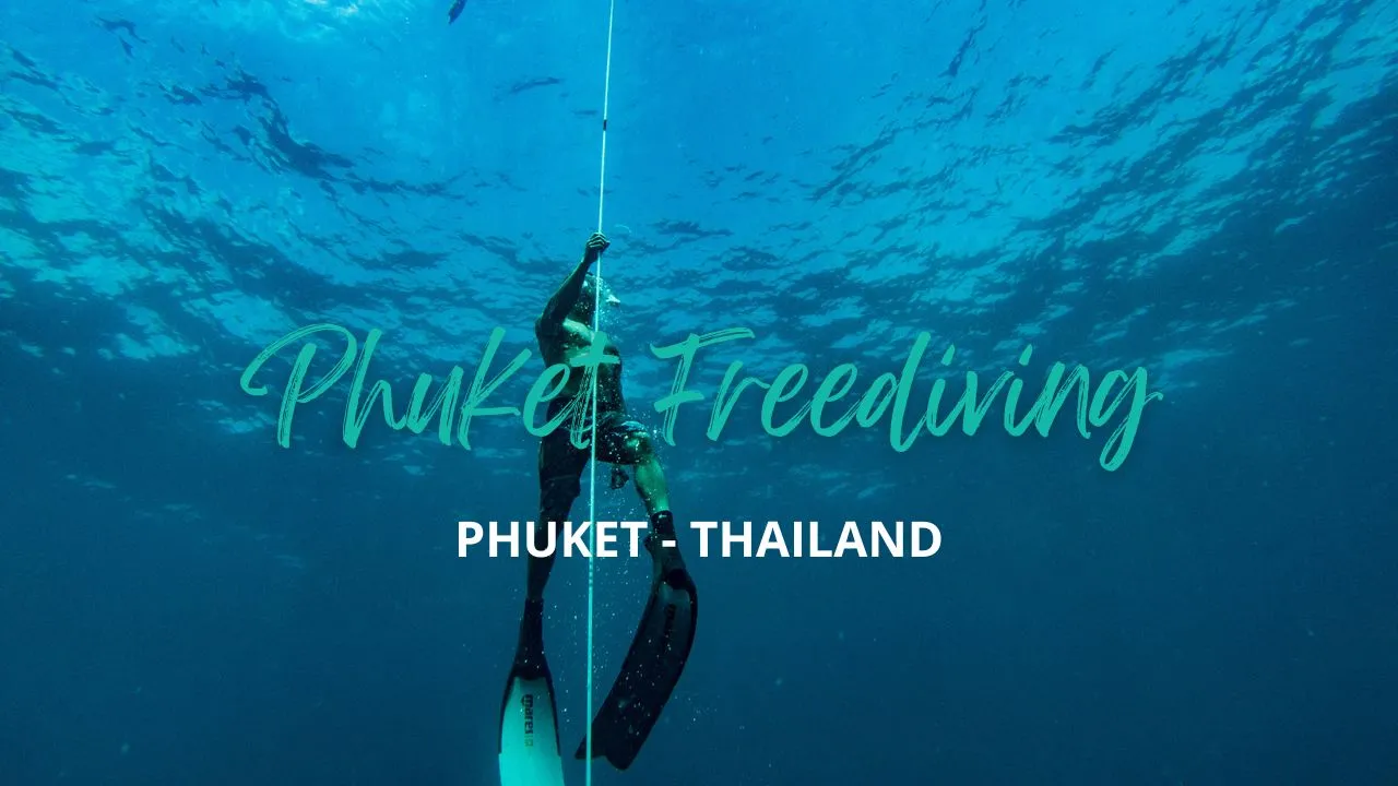 Freediving course in Phuket with SSS Phuket