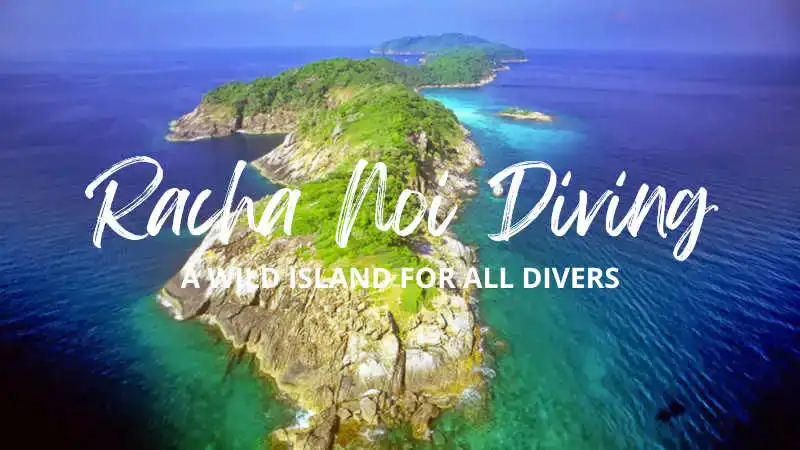 Racha Noi dive site Phuket