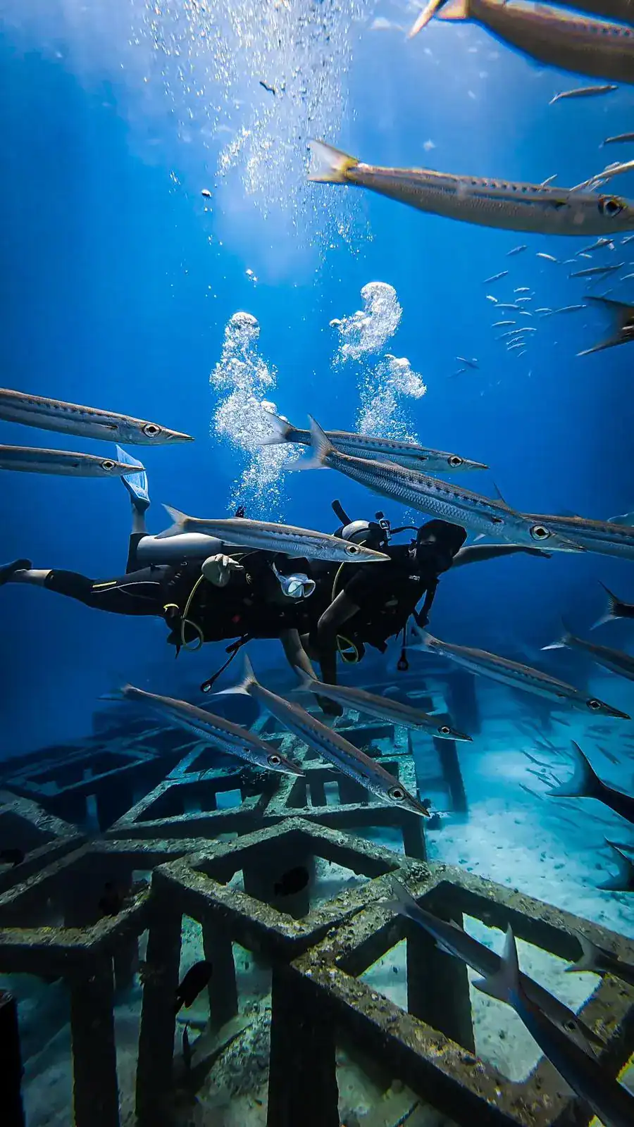 Beginner scuba diver exploring Racha Yai reef