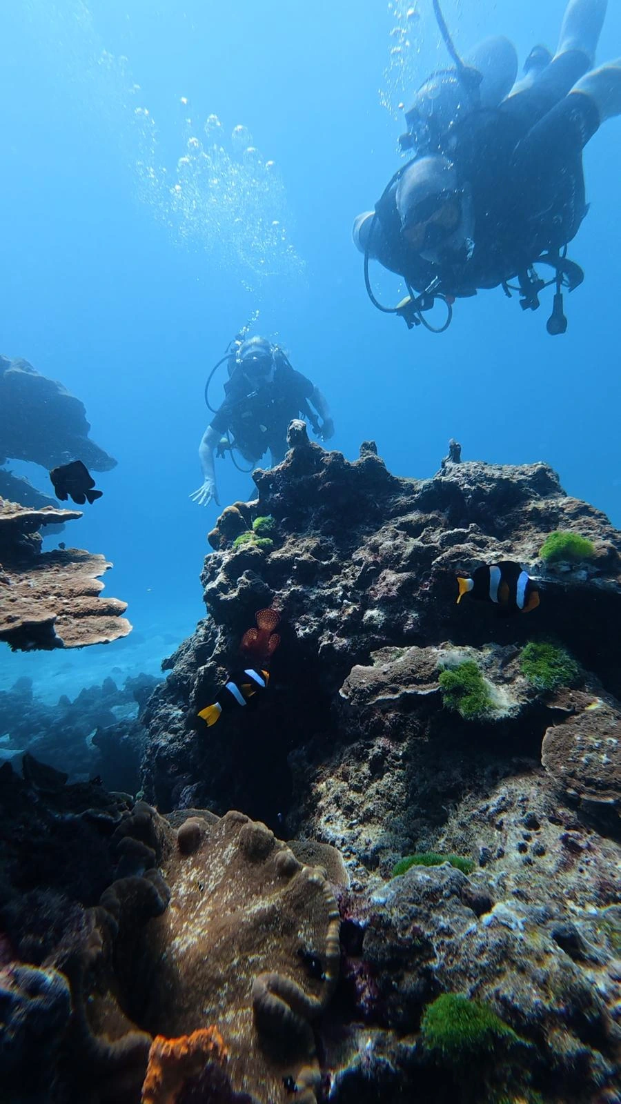Racha Yai Island dive site Discover Scuba Diving Phuket