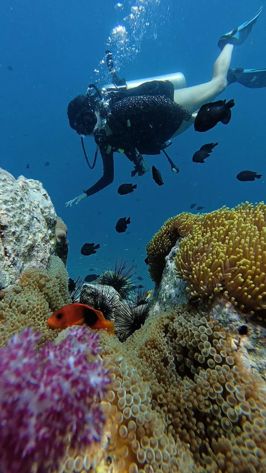 Discover Scuba Diving group at Racha Yai Phuket