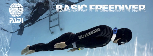 PADI Basic Freediver course Phuket