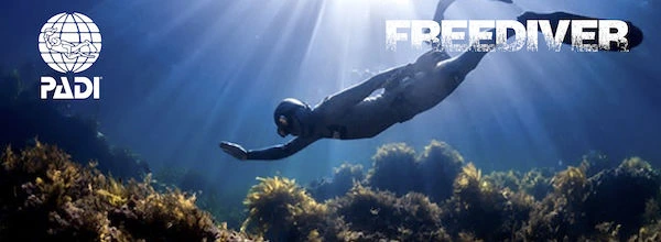 PADI Freediver course Phuket
